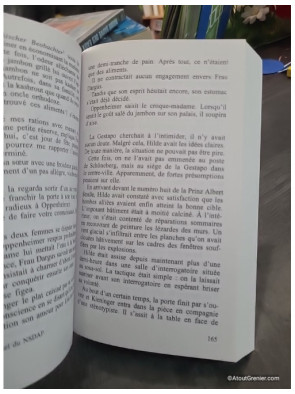 Les fils d'Odin - Tome 02 - Harald Gilbers
