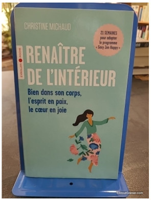 Renaître de l'intérieur - Bien dans son corps, l'esprit en paix, le coeur en joie - Christine Michaud
