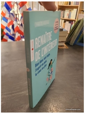Renaître de l'intérieur - Bien dans son corps, l'esprit en paix, le coeur en joie - Christine Michaud