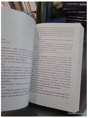 Le Graal du diable (La Saga du Soleil Noir, Tome 6) - Éric Giacometti, Jacques Ravenne