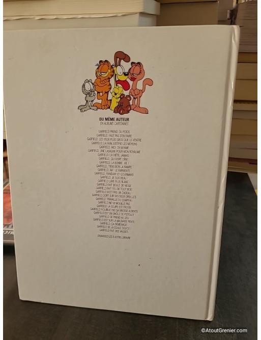 Garfield se jette à l'eau - Jim Davis