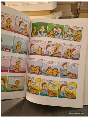 Garfield se jette à l'eau - Jim Davis