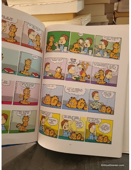 Garfield se jette à l'eau - Jim Davis