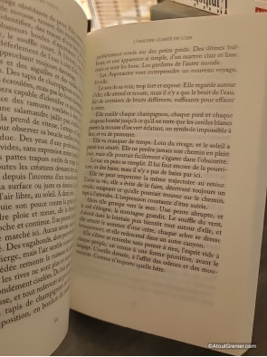 L'Obscure Clarté De L'Air - David Vann