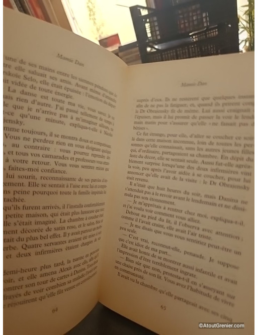 Mamie Dan, par Danielle Steel : un roman émouvant sur le destin