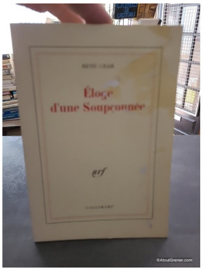 Éloge d'une Soupçonnée - René Char