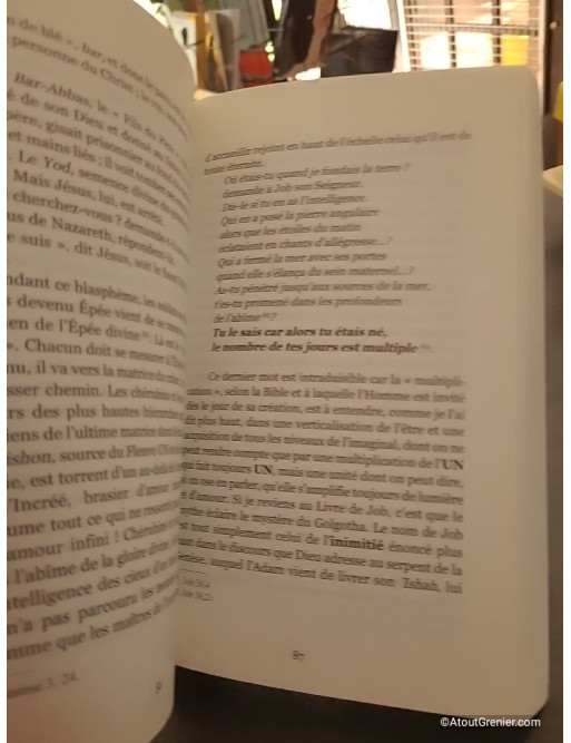 L'initiation - Ouvrir les portes de notre cité intérieure - Annick de Souzenelle et Pierre-Yves Albrecht
