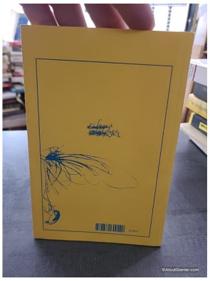Warda s'en va - Carnets du Caire - Pierrine Poget