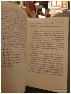 Warda s'en va - Carnets du Caire - Pierrine Poget
