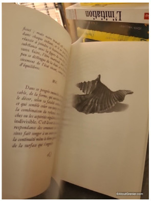 L'Homme et la coquille - Paul Valéry