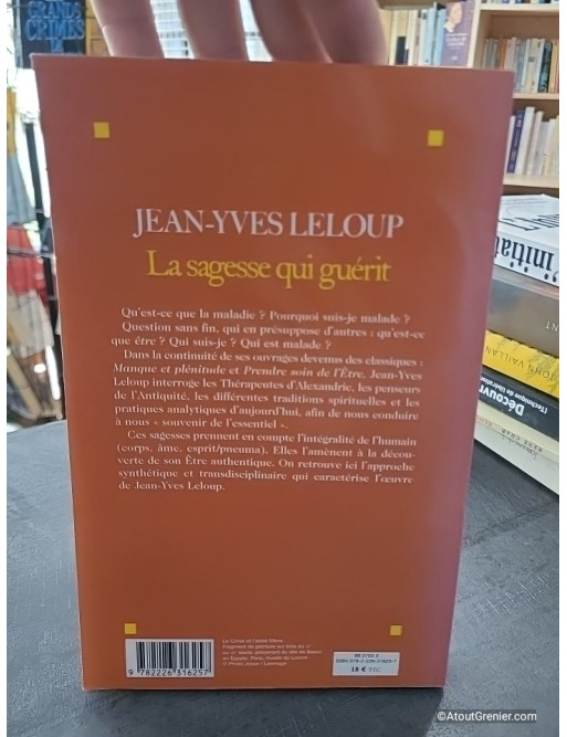 La Sagesse qui guérit - Jean-Yves Leloup