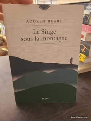 Le Singe sous la montagne - Aodren Buart