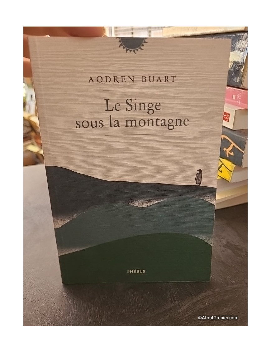 Le Singe sous la montagne - Aodren Buart