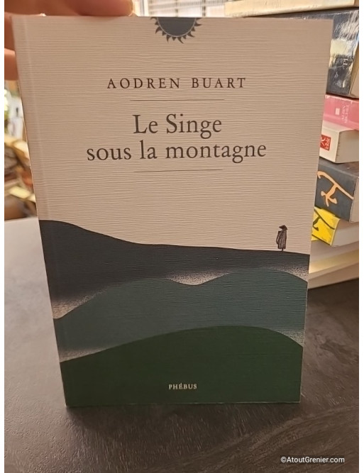 Le Singe sous la montagne - Aodren Buart