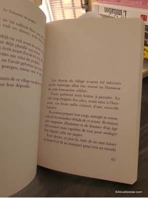 Le Testament du prophète - Prix de la Closerie des Lilas 2023 - Yasmine Ghata