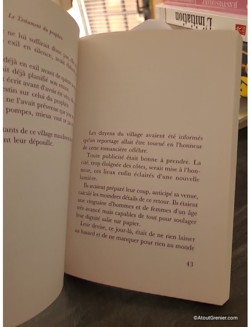 Le Testament du prophète - Prix de la Closerie des Lilas 2023 - Yasmine Ghata