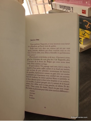 Bambois, la vie verte - Claudie Hunzinger