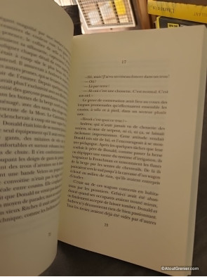 Pas d'éclairs sans tonnerre - Jérémie Gindre