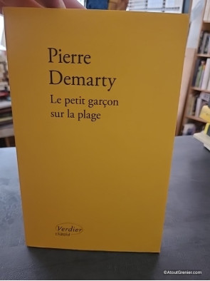 Le petit garçon sur la plage - Pierre Demarty