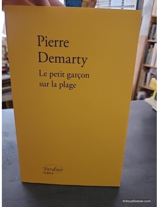 Le petit garçon sur la plage - Pierre Demarty