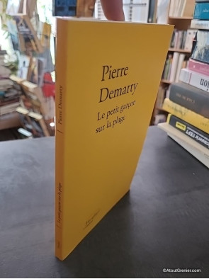Le petit garçon sur la plage - Pierre Demarty