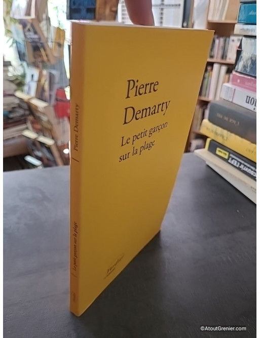 Le petit garçon sur la plage - Pierre Demarty