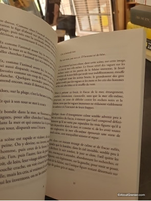 Le petit garçon sur la plage - Pierre Demarty