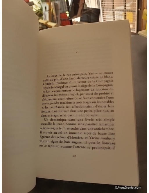 Histoire du lion Personne - Stéphane Audeguy