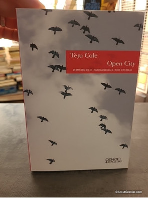 Open City - Teju Cole