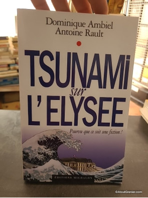 Tsunami sur l'Elysée - Pourvu que ce soit une fiction - Dominique Ambiel et Antoine Rault