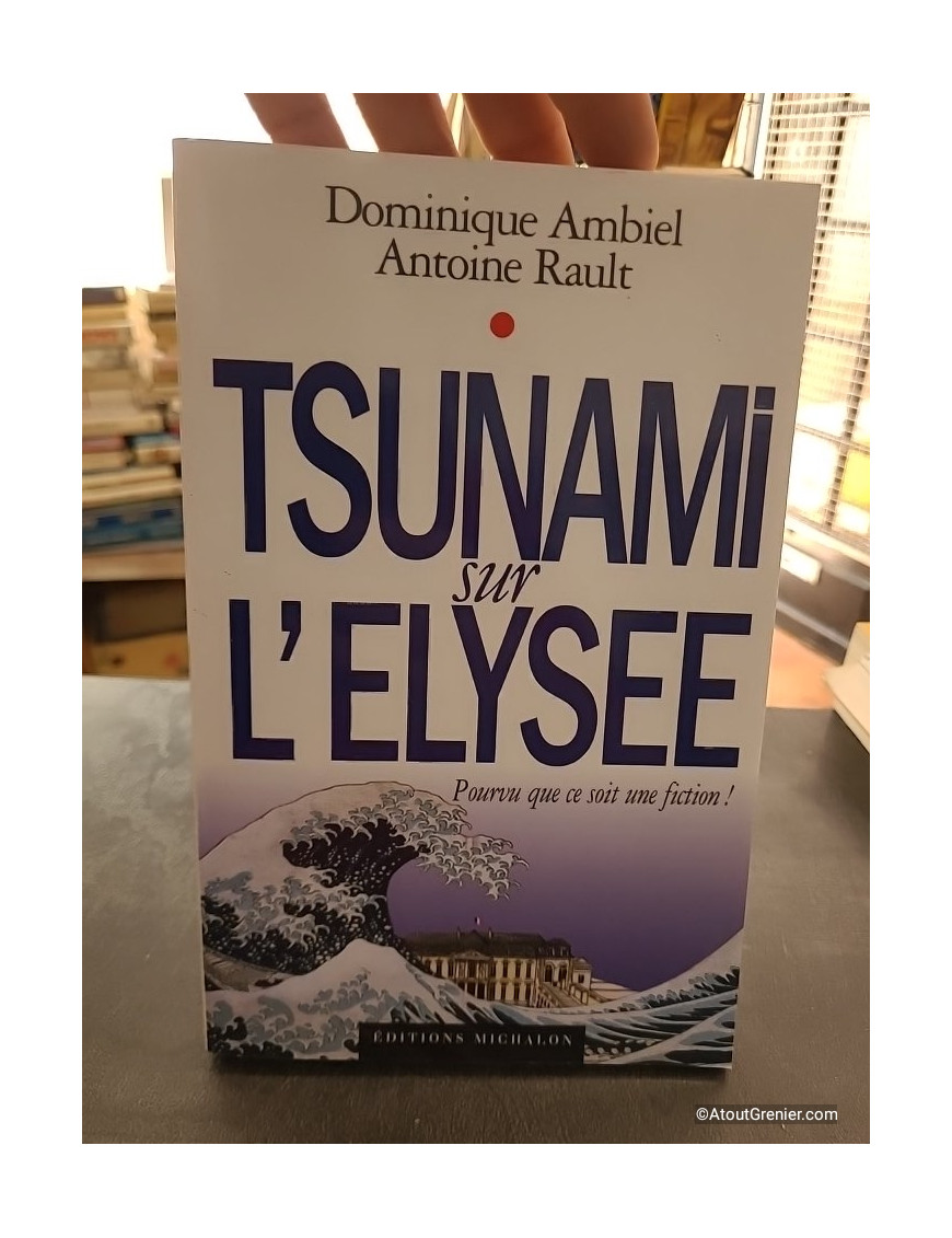 Tsunami sur l'Elysée - Pourvu que ce soit une fiction - Dominique Ambiel et Antoine Rault