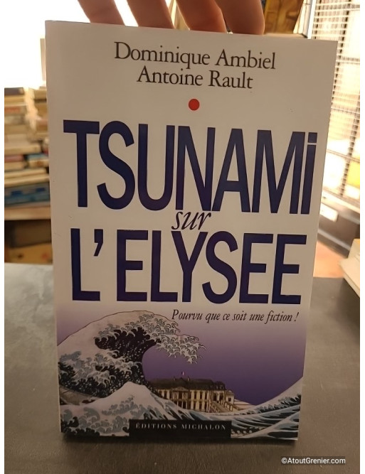 Tsunami sur l'Elysée - Pourvu que ce soit une fiction - Dominique Ambiel et Antoine Rault