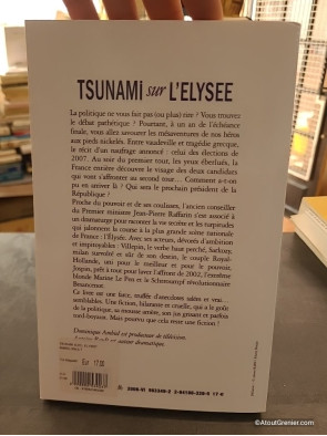 Tsunami sur l'Elysée - Pourvu que ce soit une fiction - Dominique Ambiel et Antoine Rault