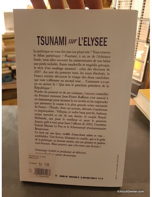 Tsunami sur l'Elysée - Pourvu que ce soit une fiction - Dominique Ambiel et Antoine Rault
