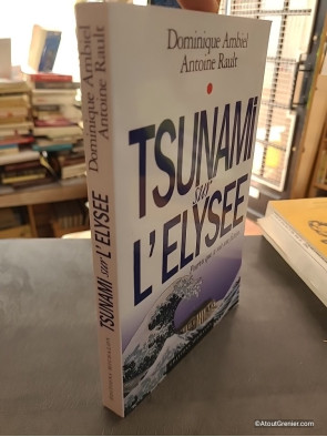 Tsunami sur l'Elysée - Pourvu que ce soit une fiction - Dominique Ambiel et Antoine Rault
