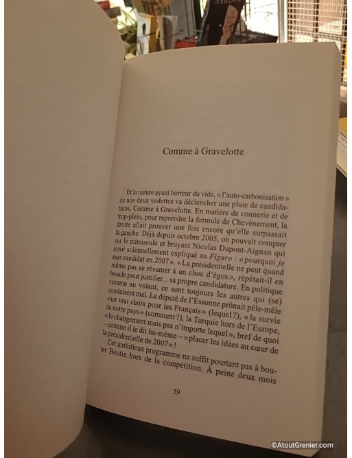 Tsunami sur l'Elysée - Pourvu que ce soit une fiction - Dominique Ambiel et Antoine Rault