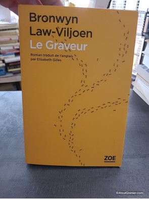 Le Graveur - Roman de Bronwyn Law-Viljoen