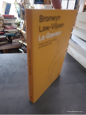Le Graveur - Roman de Bronwyn Law-Viljoen