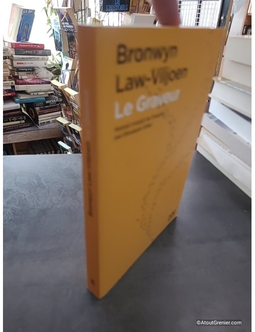 Le Graveur - Roman de Bronwyn Law-Viljoen