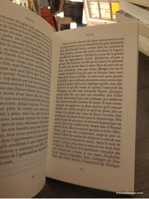 Sylvia - Récit de Leonard Michaels