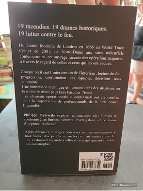 19 Histoires vraies de pompiers - Au cœur des incendies qui ont marqué l’Histoire - Philippe Dylewski