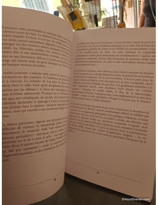 Affaires Oubliées de Bretagne - Crimes, disparitions et mystères du littoral - Camille Dorian
