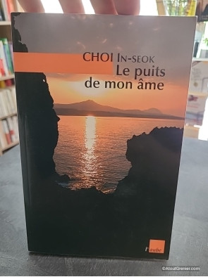 Le puits de mon âme - In-seok Choi