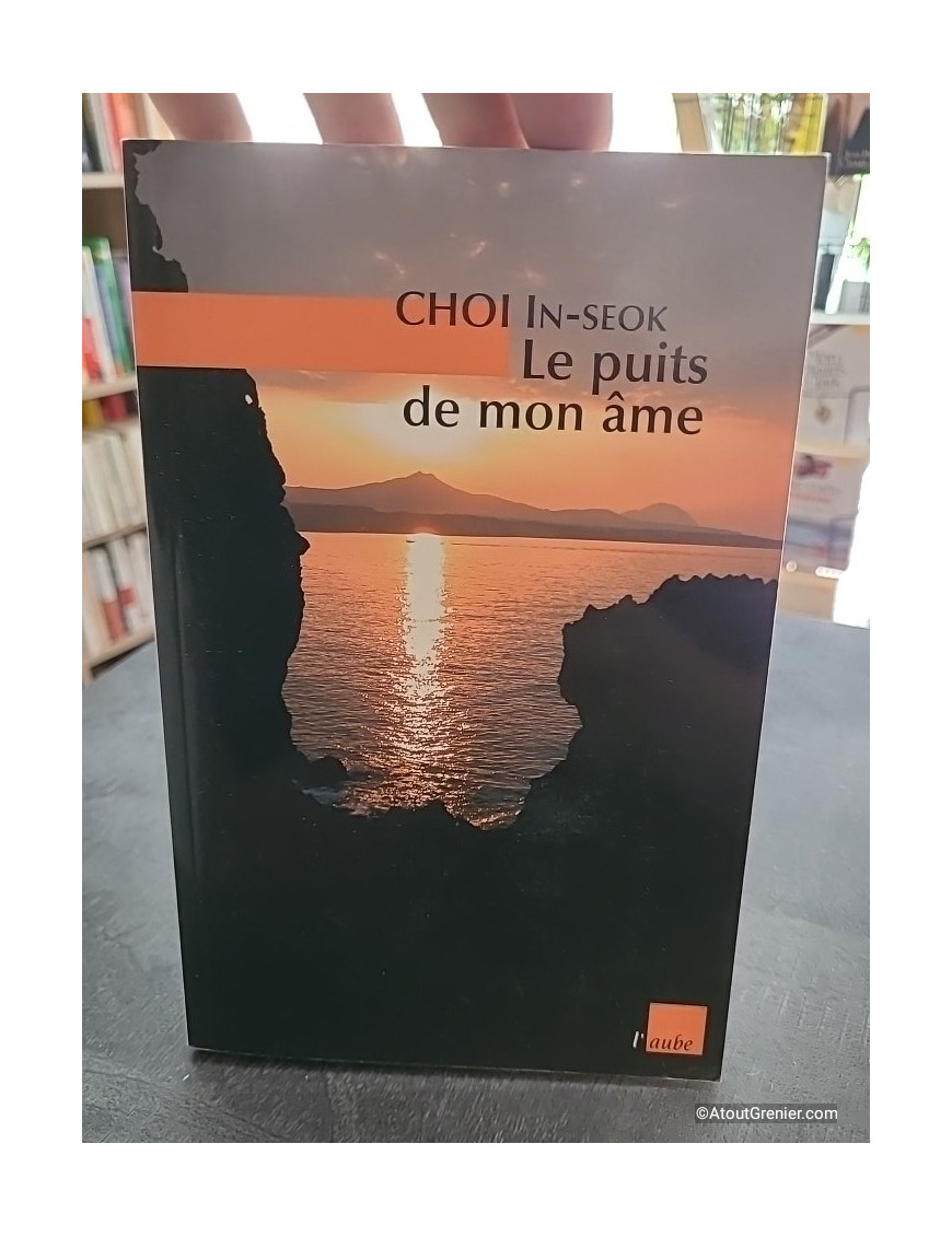 Le puits de mon âme - In-seok Choi