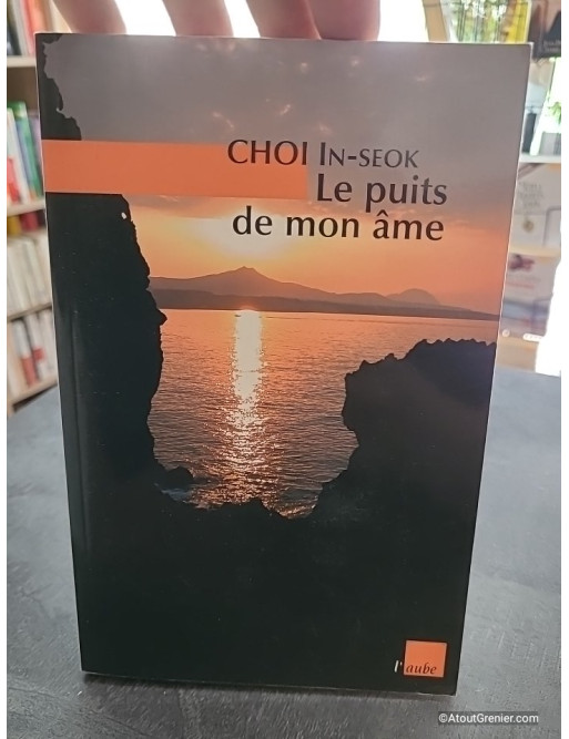Le puits de mon âme - In-seok Choi