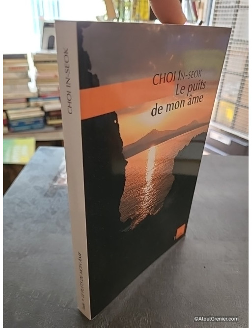 Le puits de mon âme - In-seok Choi