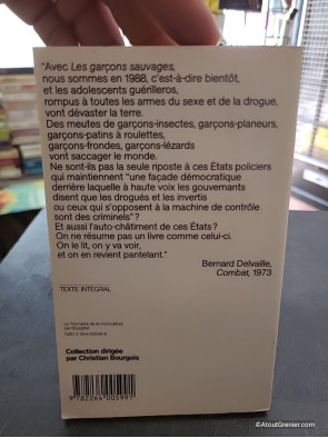 Les Garçons sauvages - William S. Burroughs
