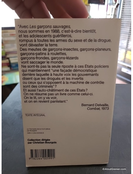 Les Garçons sauvages - William S. Burroughs