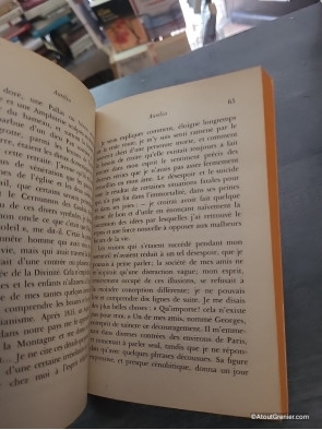 Aurélia suivi de Lettres à Jenny Colon, de La Pandora et de Les Chimères - Gérard de Nerval