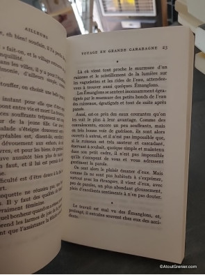 Ailleurs - Voyage en Grande Garabagne - Au pays de la Magie - Ici, Poddema - Henri Michaux
